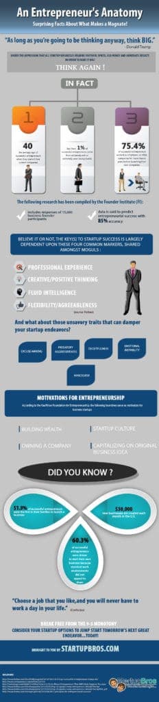 Anatomy of a Successful Entrepreneur Infographic