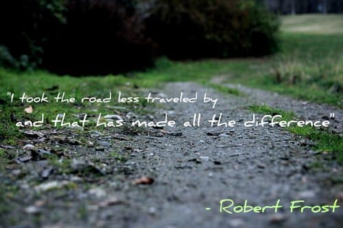 road-less-taken