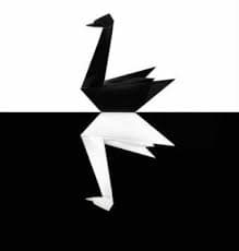black swan